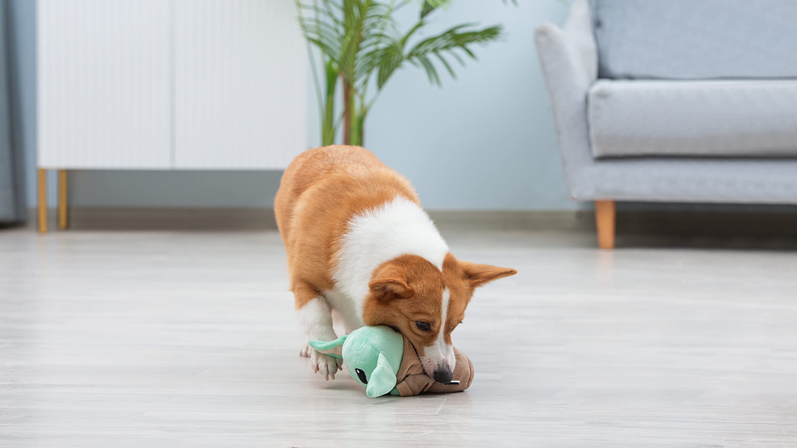 Star Wars Jouet Couineur pour Animaux de Compagnie The Mandalorian - Peluche Grogu de 15,2 cm pour Chien
