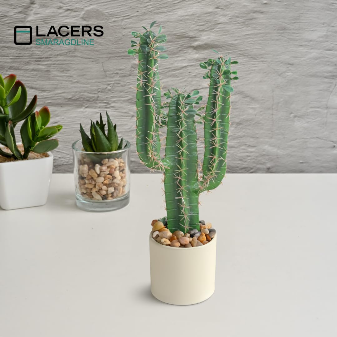 Lacers SMARAGDLINE Künstlicher Kaktus - 60cm - Pflanzen für Wohnungs & Bad Deko - Sukkulenten künstlich, Kunstpflanzen - Wohnzimmer, Büro & Hotel - Fensterbank Deko