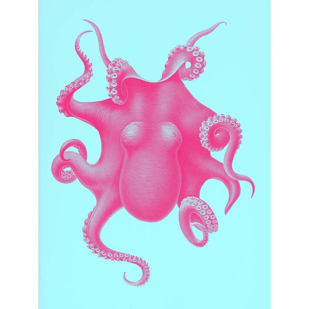 Wee Blue Coo Pink Octopus Vintage Illustration Art Print Poster Wall Decor 12X16 Inch