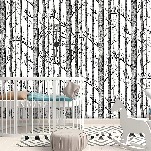 ODS - Carta da parati nera con albero di betulla