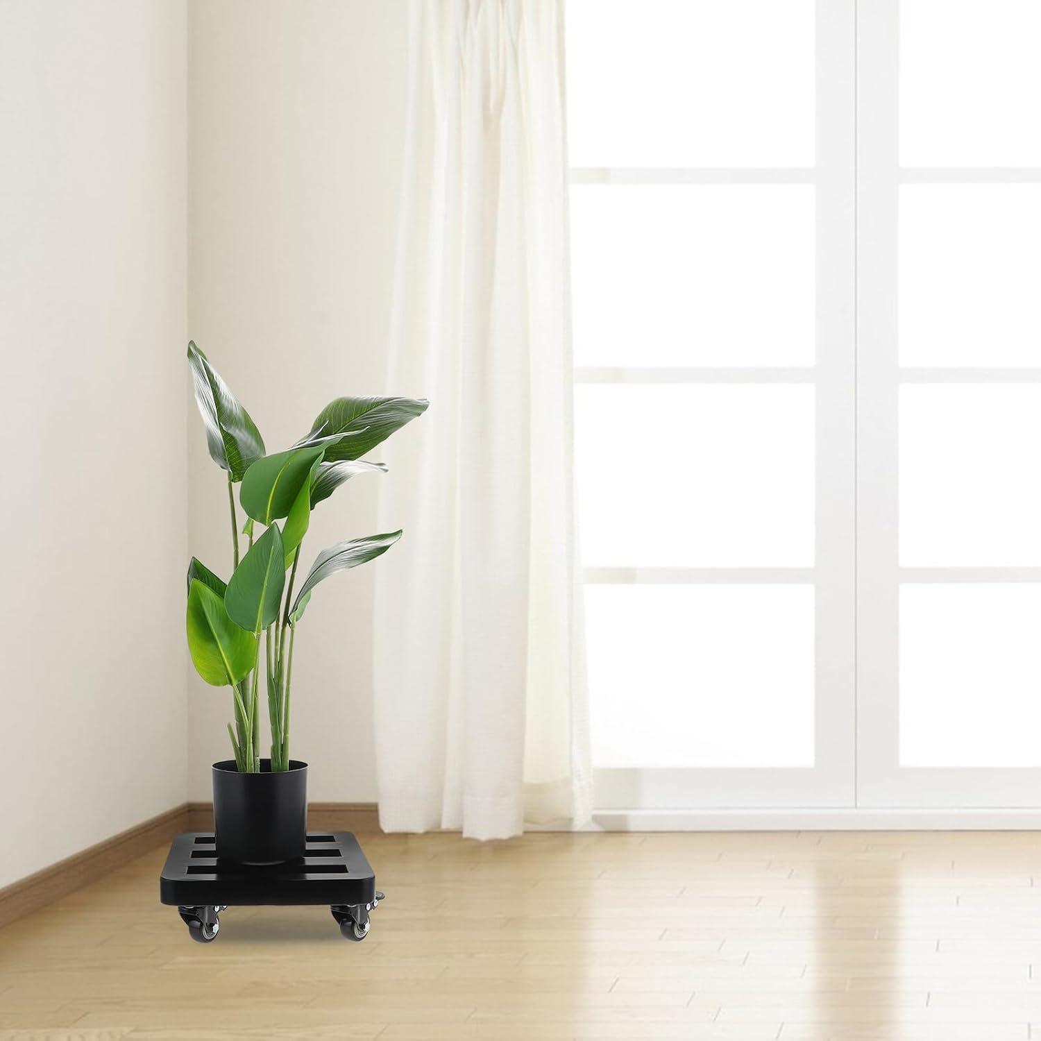 Ciieeo Thickened Rounded Corner Flowerpot Tray with Swivel Wheels 300mm X 300mm X 90mm Iron Plant Pot Caddy for Indoor Outdoor Garden Use, Anti-Collision Design, Rolling Plant Stand