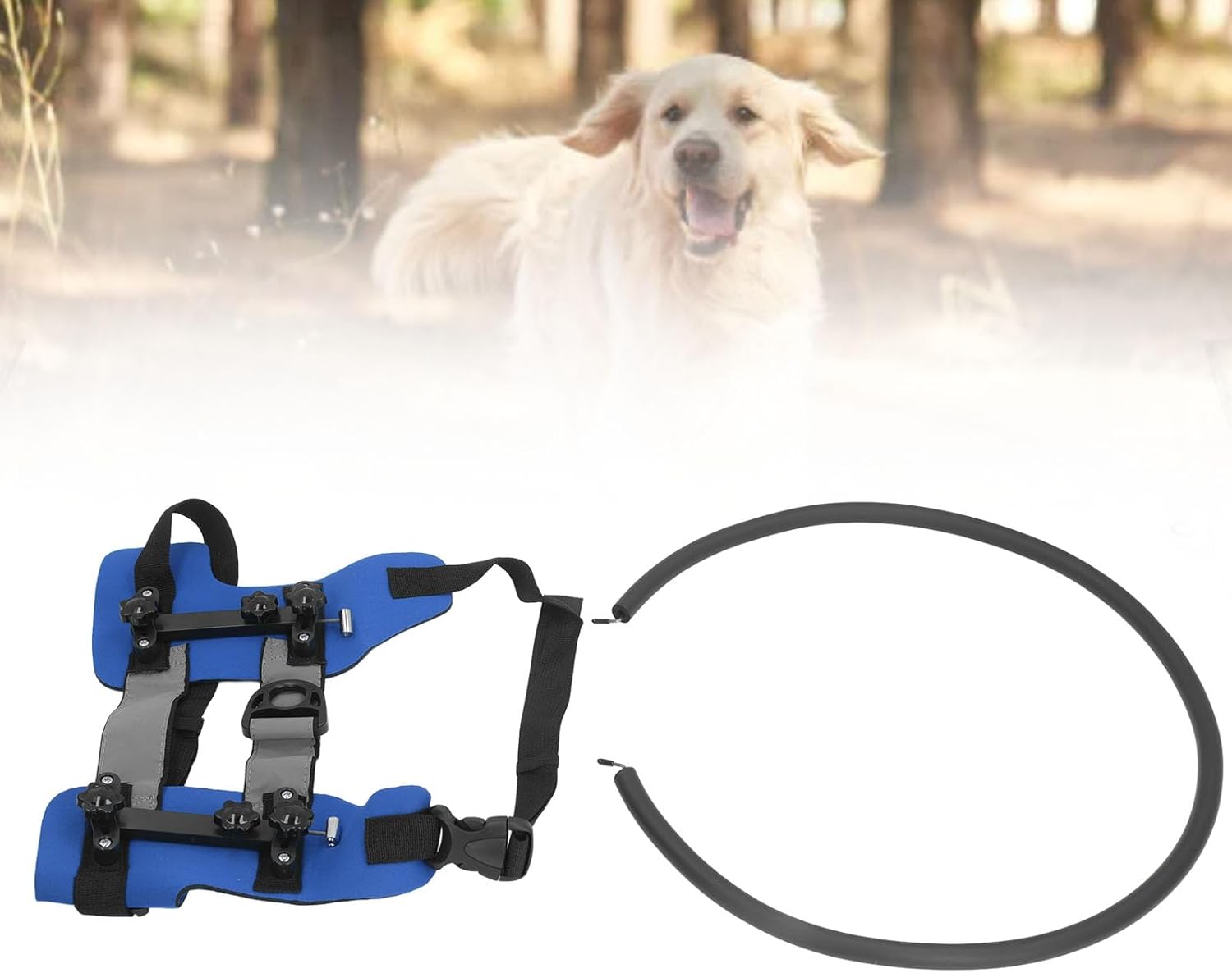 Blind Dog Bumper Guard, Blind Dog Ring Harness Practical Easy Fixation Build Confidence Enhanced Safety for Blind Pets (S)