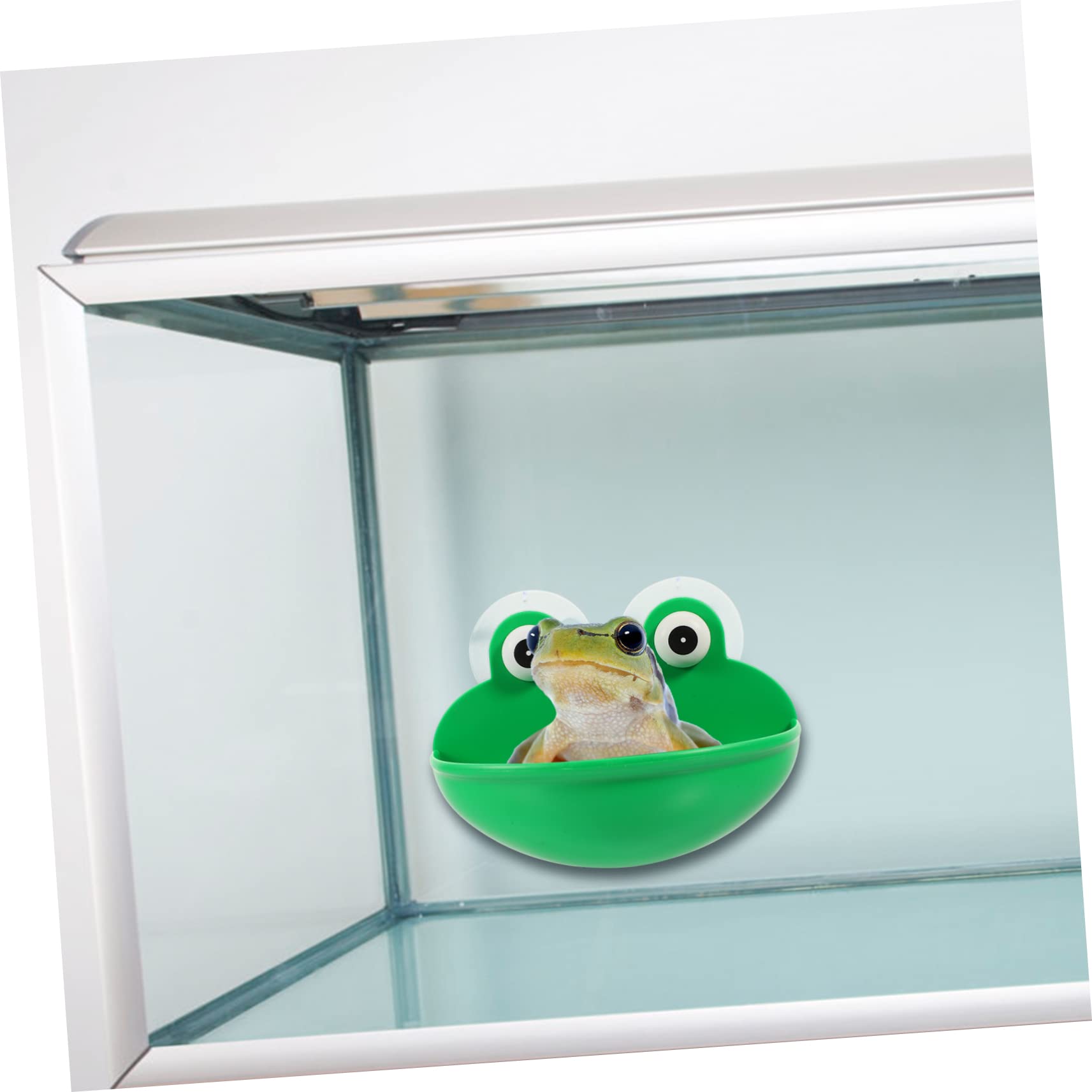 6stücke Reptilien Ruheplatz Für Terrarium Geeignet Für Amphibien Und Kleine Tiere Mit Saugnäpfen Dekorative Terrarium Zubehör Für Frösche Und Geckos
