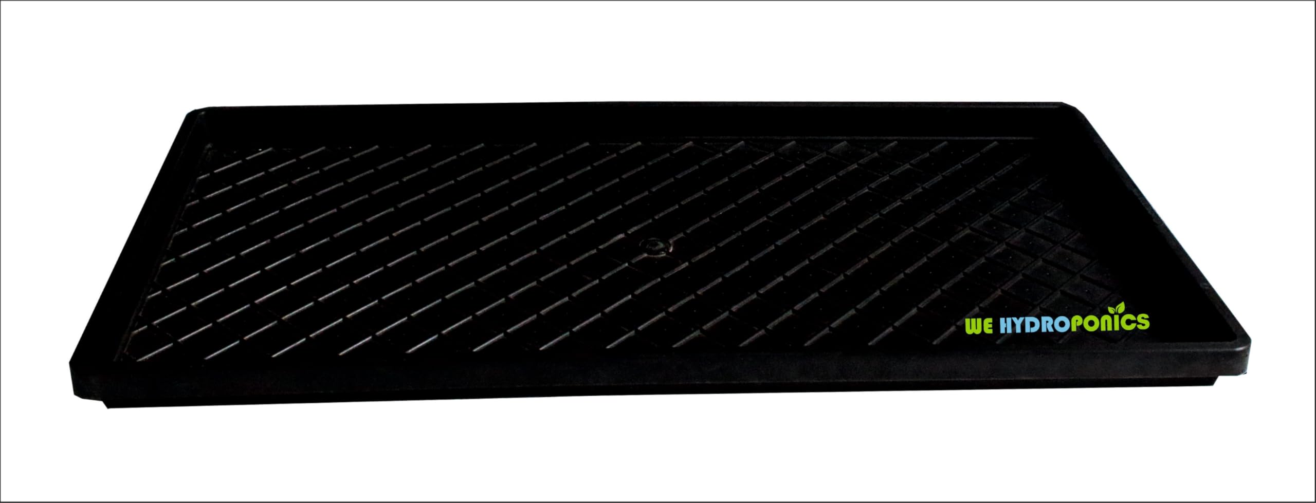 Wheat Grass Trays - Set of 20 for Microgreens -4 Wheat Grass Trays - Set of 20 for Microgreens -4
