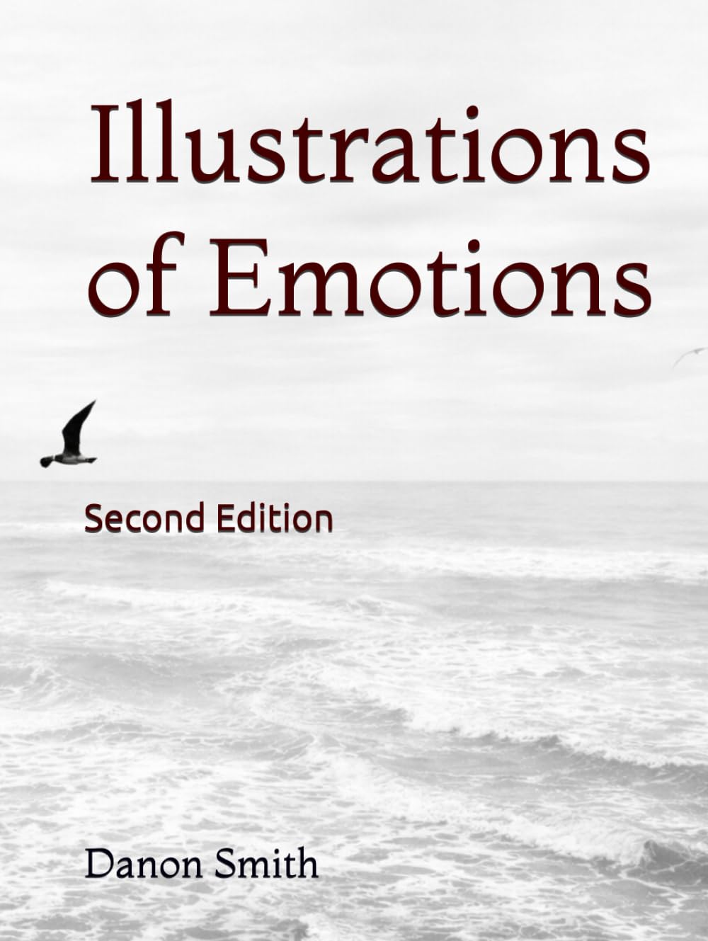 Illustrations of Emotions Refined: Second Edition of Illustrations of Emotions (Reflections on Unspoken Emotions)