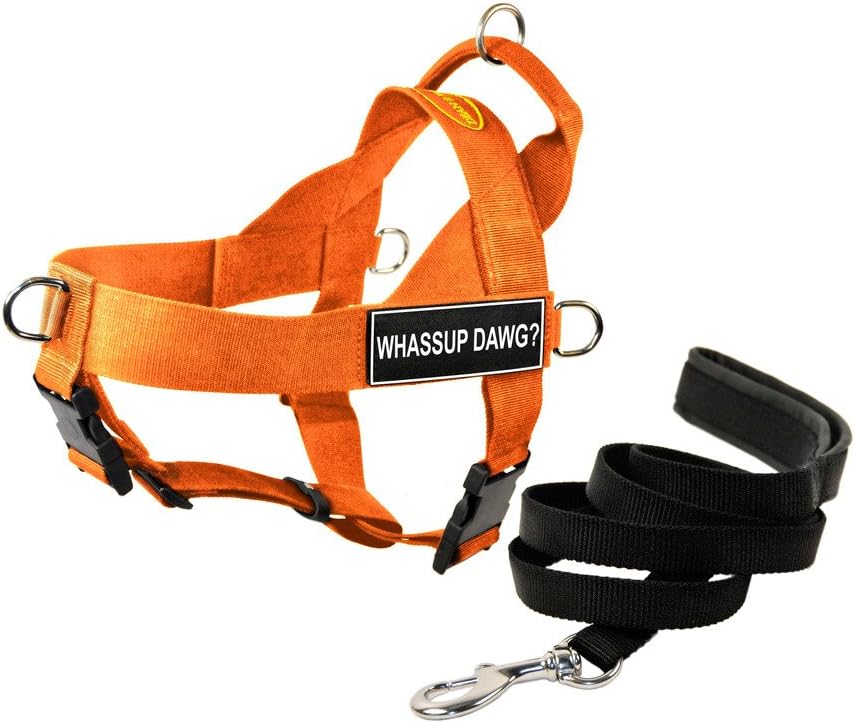 Dean & Tyler DT Universal No Pull Dog Harness with Whassup Dawg? Patches and Puppy Leash, Orange, Medium