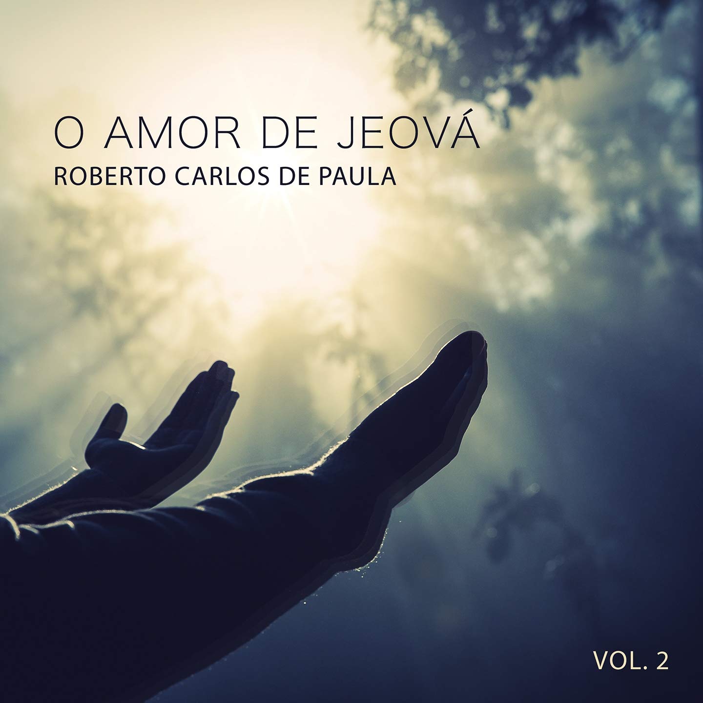 Roberto Carlos de Paula