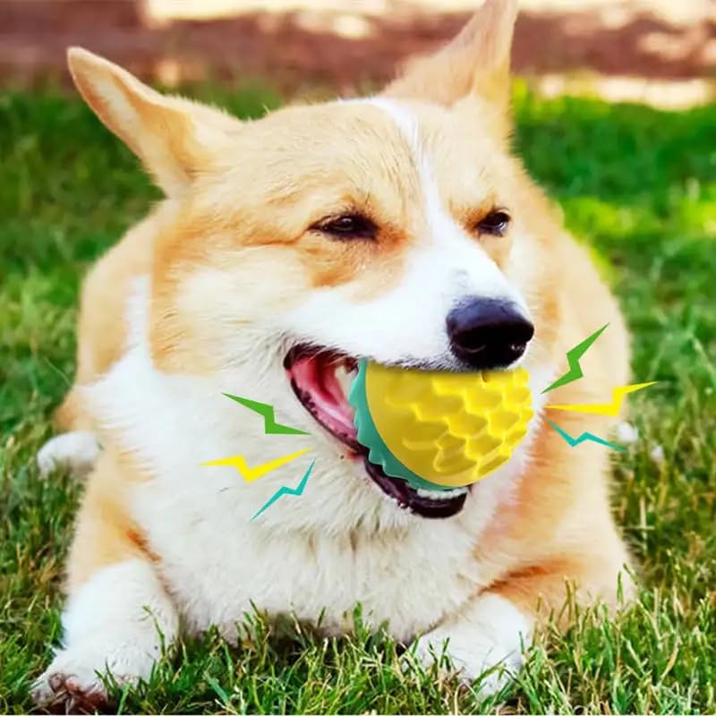 Squeaky Dog Balls for Dogs, Dog Toys for Aggressive Chewers Small and Medium Breed for Relieving Anxiety, Durable Anti-Stress Dog Ball, Outdoor Dog Toys, Water Toy for Dogs Squeaky Dog Balls for Dogs, Dog Toys for Aggressive Chewers Small and Medium Breed for Relieving Anxiety, Durable Anti-Stress Dog Ball, Outdoor Dog Toys, Water Toy for Dogs