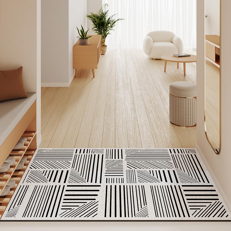 Tapis d'entrée exterieur entree et interieur antidérapant ligne noire