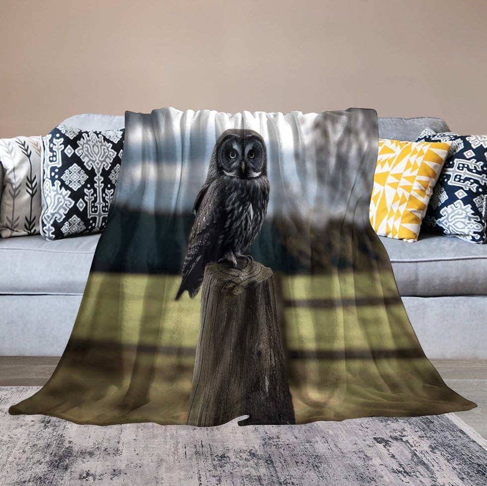 Couverture anti frisson climatisation plaid hibou léger jeté de lit chaud