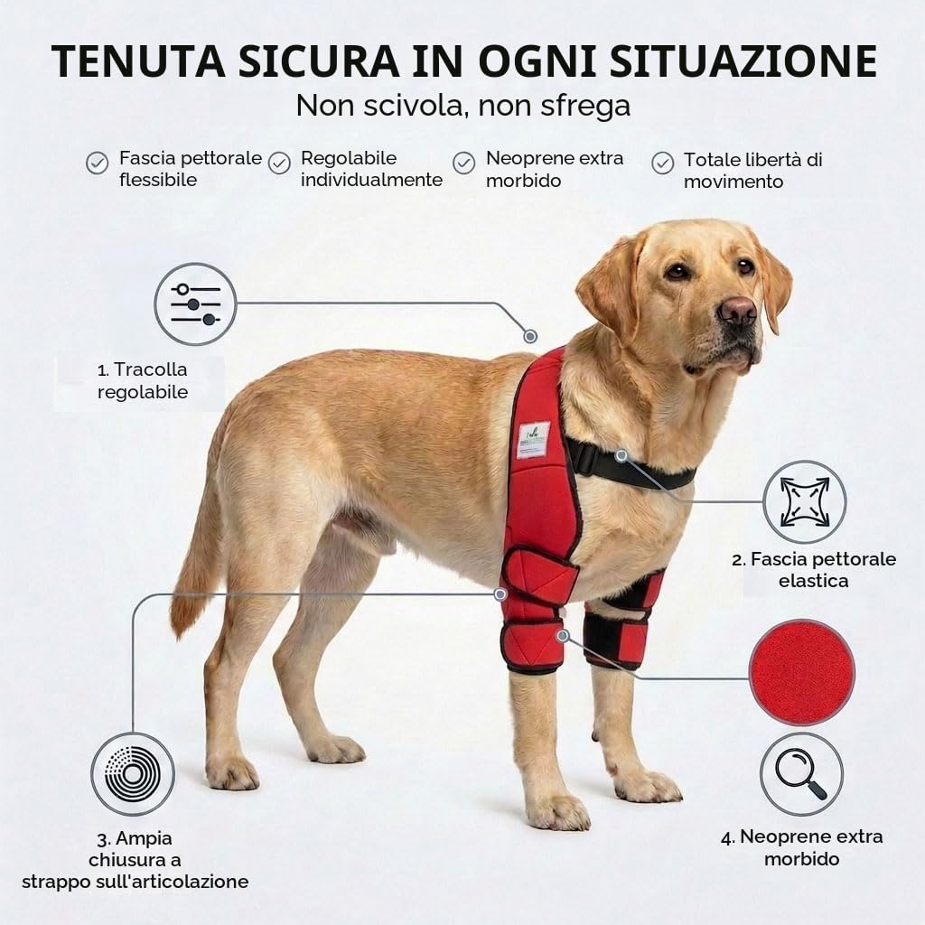 Tutore contro piaghe da decubito/tutore per calli/benda per il gomito/tutore per cani con igroma - Grigio - XS