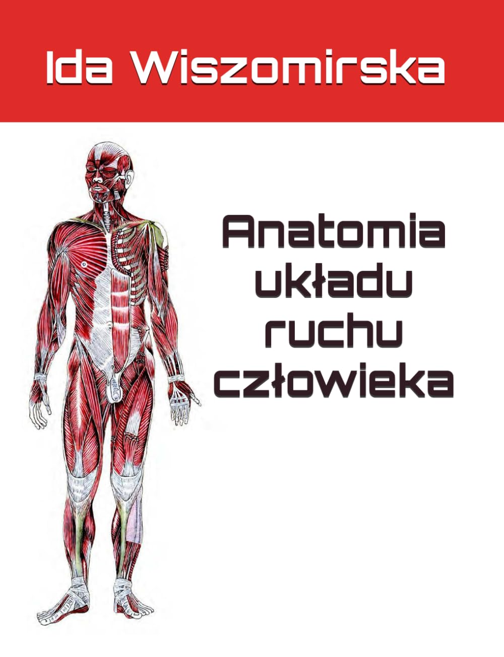 Anatomia układu ruchu człowieka