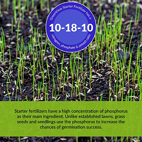 GreenView Spring or Fall Lawn Starter Fertilizer - 48 lb. Bag - Covers 15,000 sq. ft. - Thumbnail 3