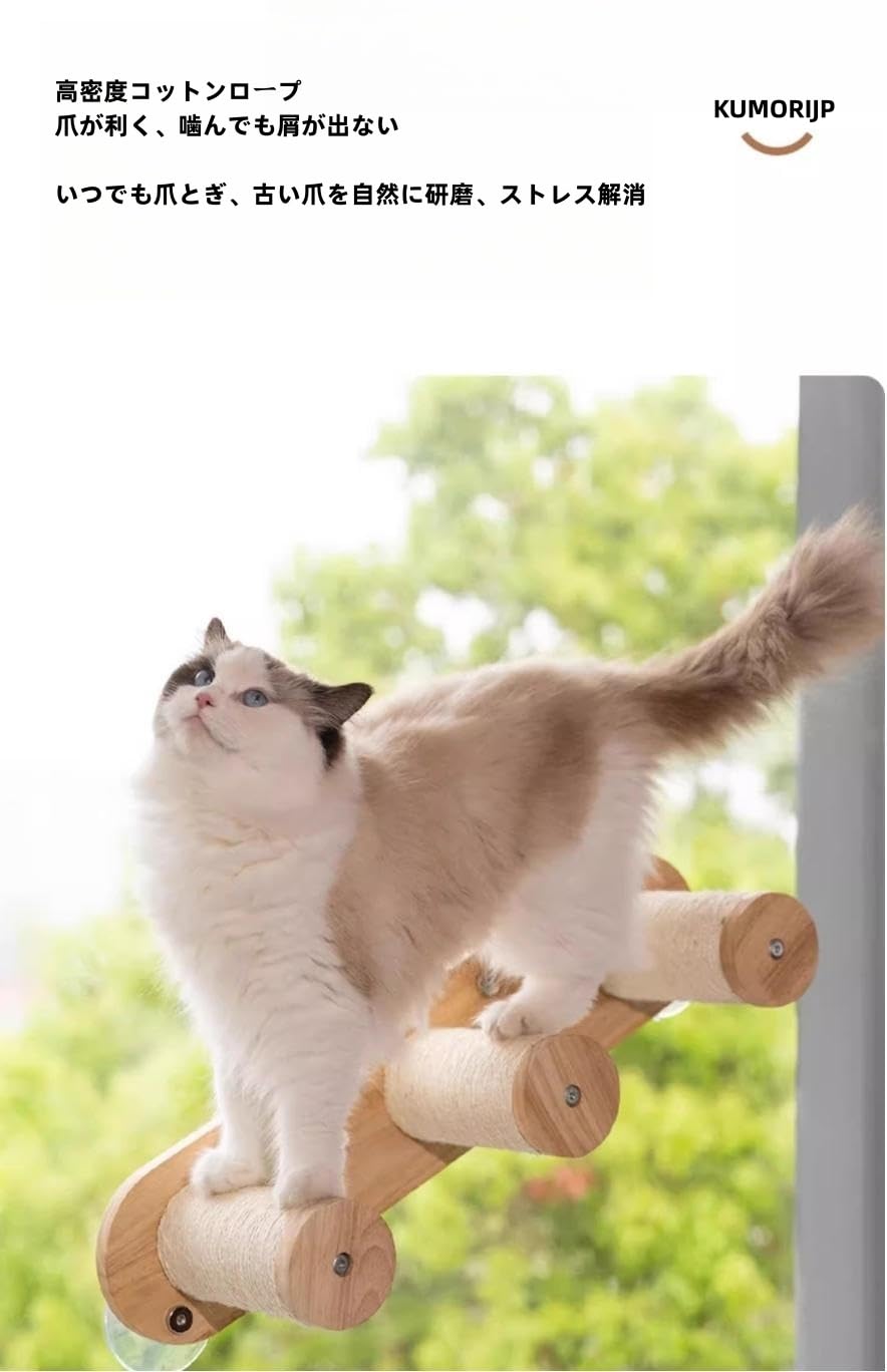猫用品窓用3点セット 楽天市場】猫 窓の通販