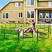 ZENY Dog Playpen Outdoor/Indoor, 24/40 inch Height Dog Pen 8/16 Panels Dog Fence Exercise Pen with Doors for Small/Medium Dogs, Pet Puppy Playpen for Camping, RV, Yard - 16 Panels (31'' W x 24'' H )