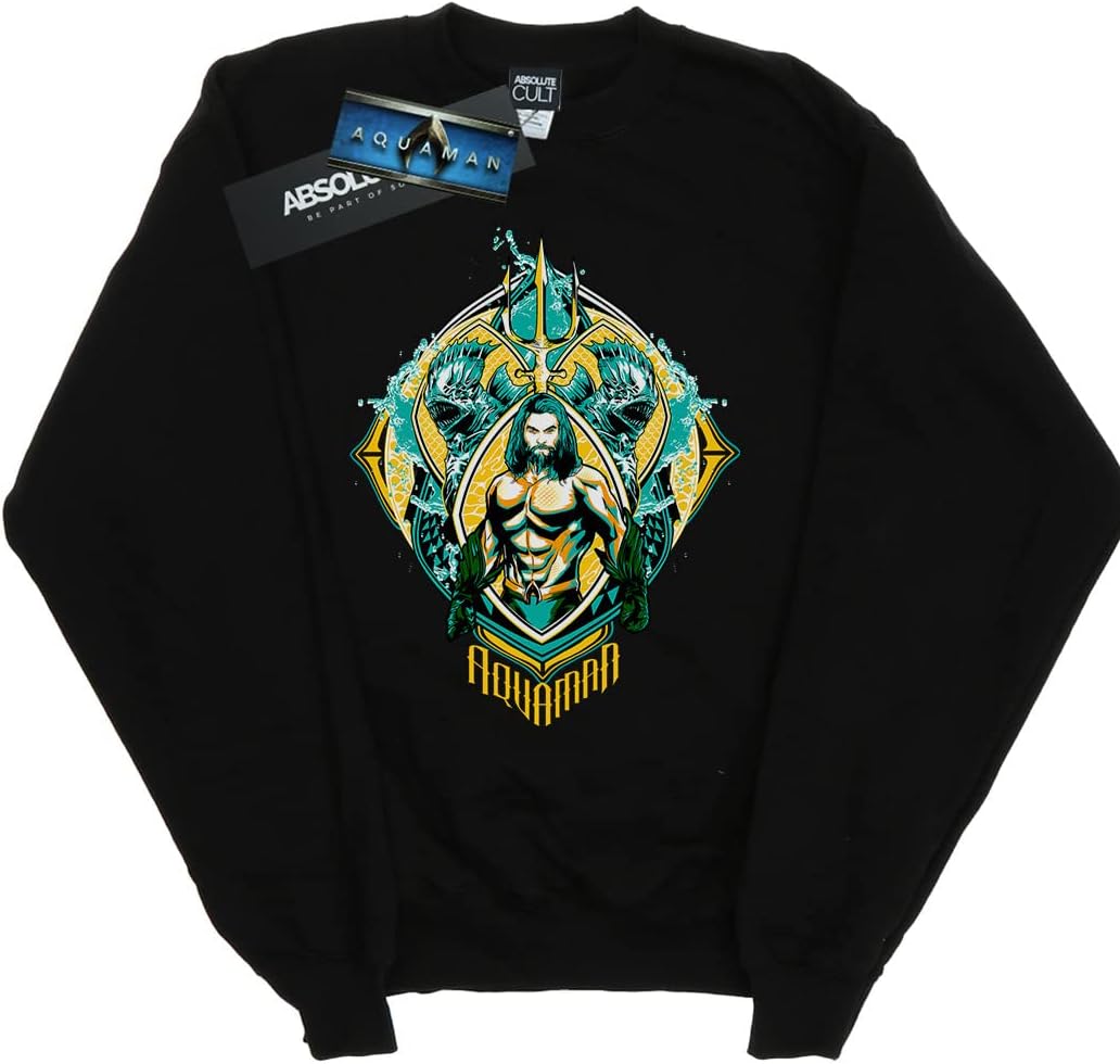 DC Comics Boys Aquaman The Trench Crest Sweatshirt Black 5-6 Years