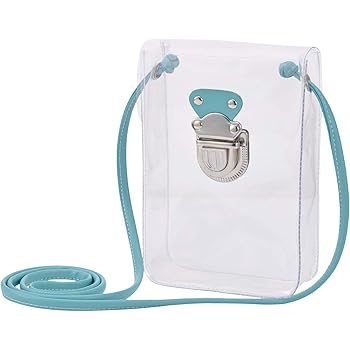 mini clear purse