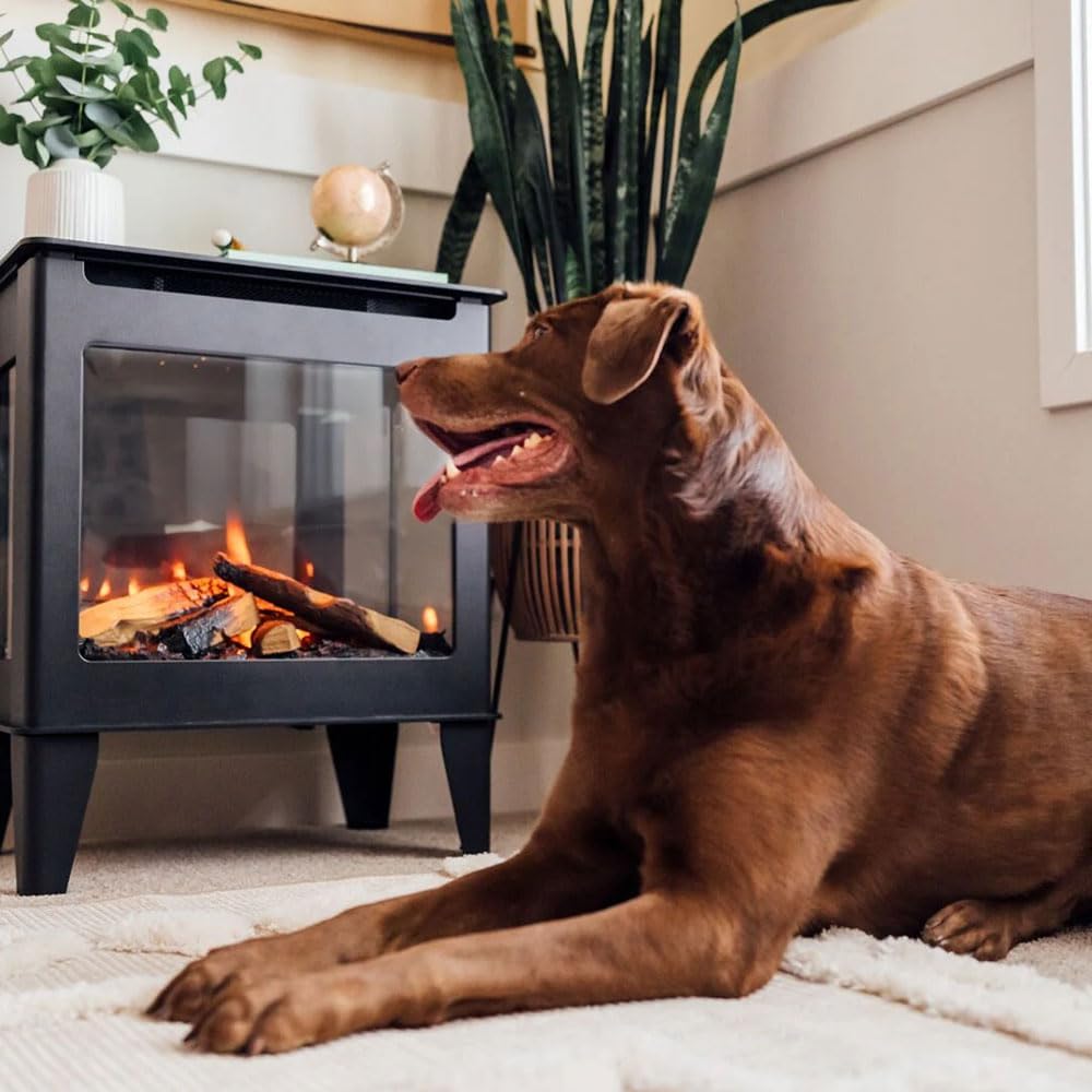 Fuzion Freestanding Electric Stove (FUZION-EX)