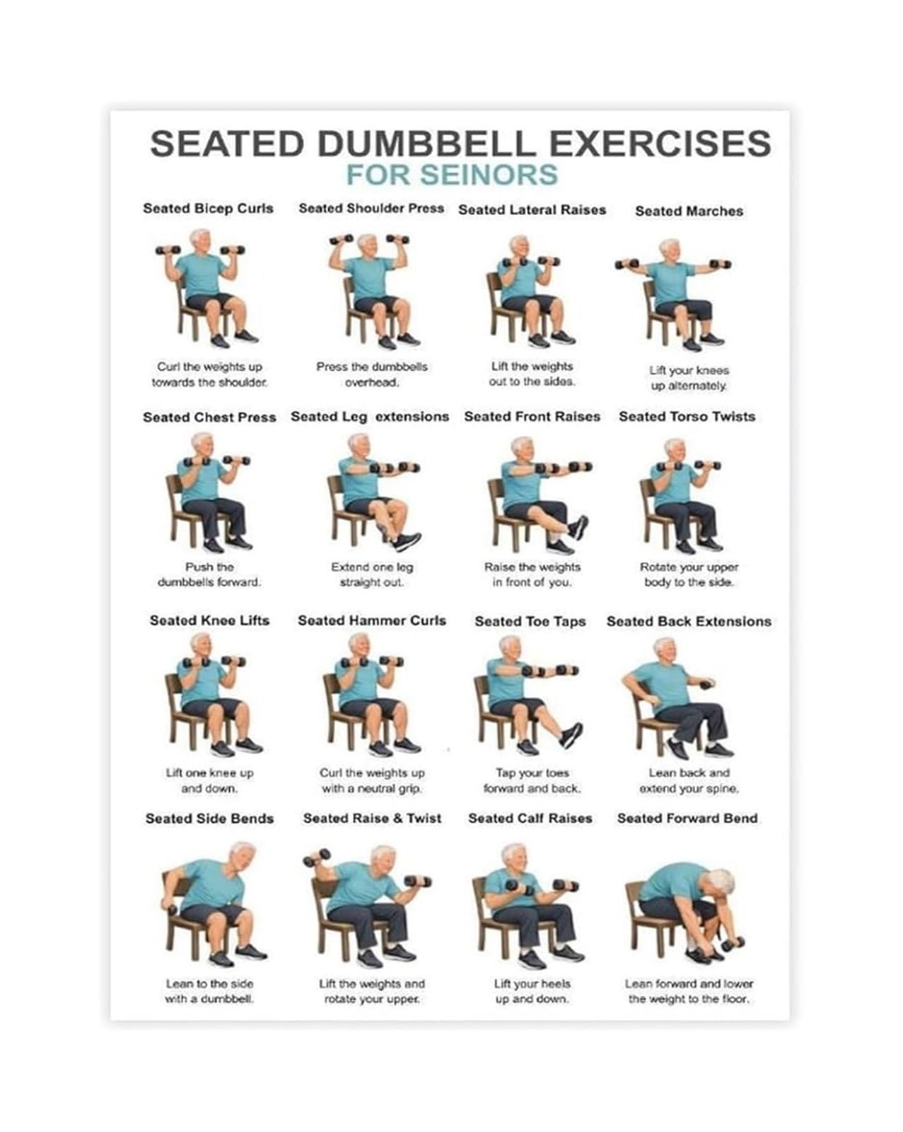 EKFBQBGW Seated Strength Training for Seniors Poster Gentle Dumbbell Routine for Mobility and Independence Wall Chart for Living Room or Senior Center Unframed,08x12inch(20x30cm)