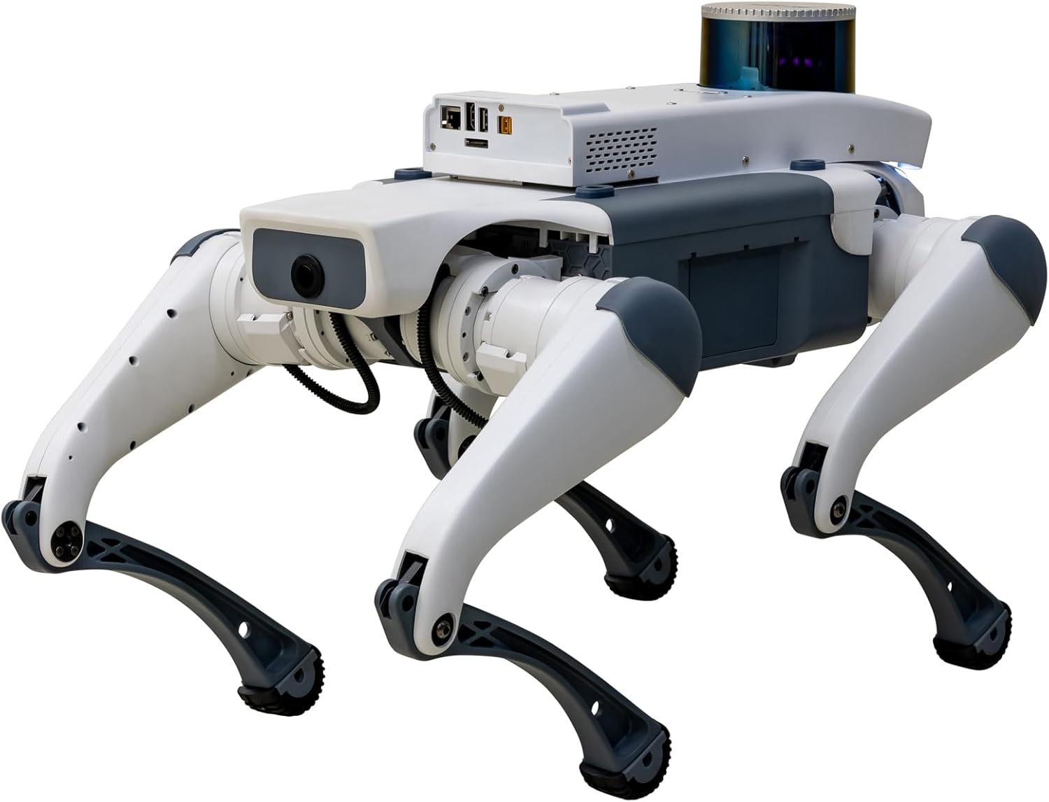 Etherus Lite 3 Robotic Quadruped Platform – Professional Research & STEM Education Robot with 12‑DOF, Programmable SDK, LiDAR & Obstacle Avoidance
