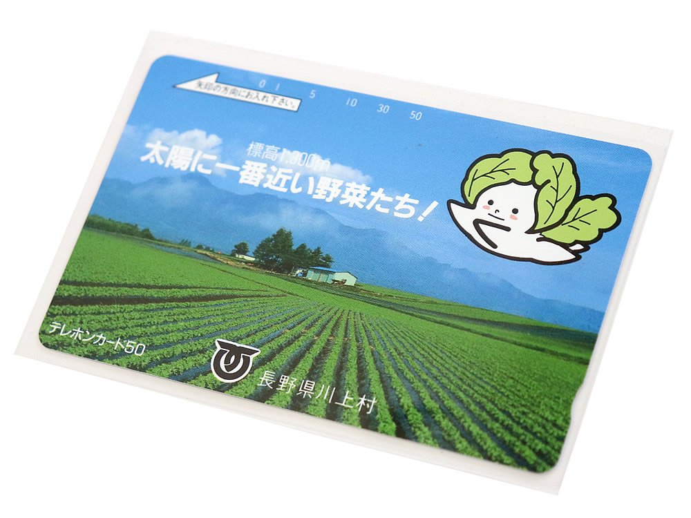 Amazon | OPP袋 カード用 スリーブ テレホンカード用テープなし 国産
