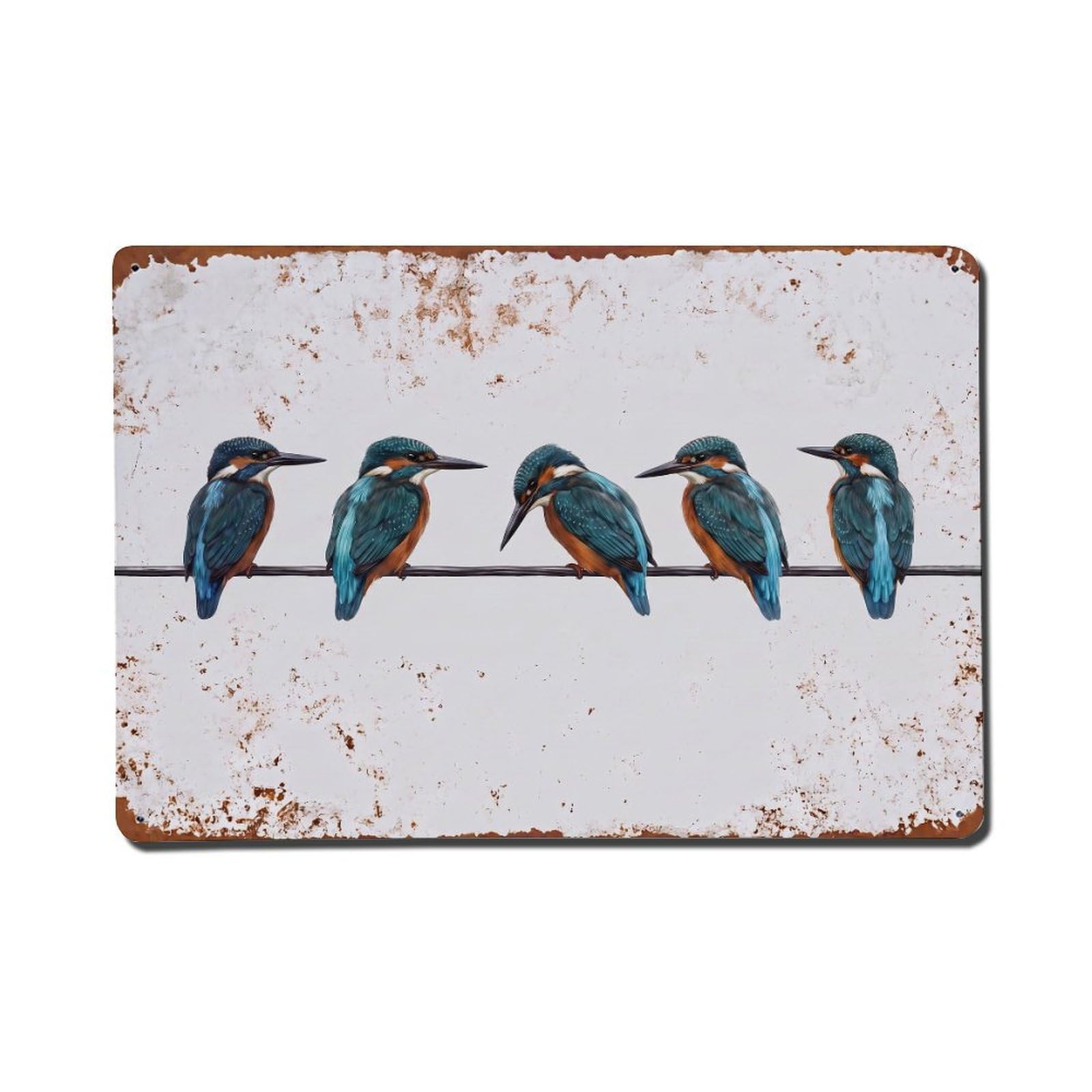 Vintage Retro Birds Common Kingfisher Metal Tin Sign