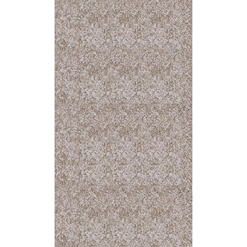 Westinghouse Lighting 6351000 North Shore One-Light Indoor, Weathered Steel Finish With Clear Seeded Glass Wall Fixture #TOP3