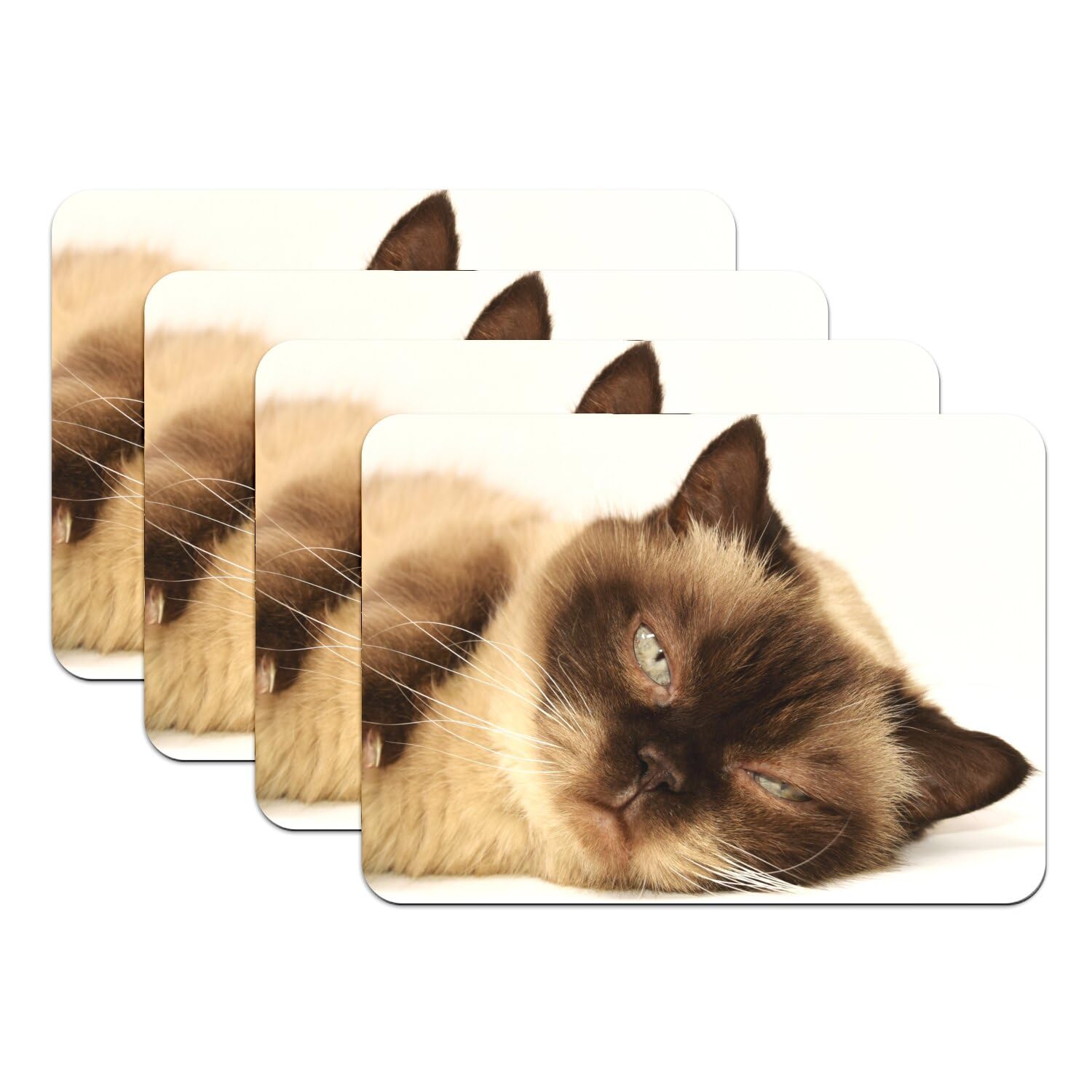 Sets de table chat mignon cadeau idéal pour les amoureux de chats et passionnés de décoration