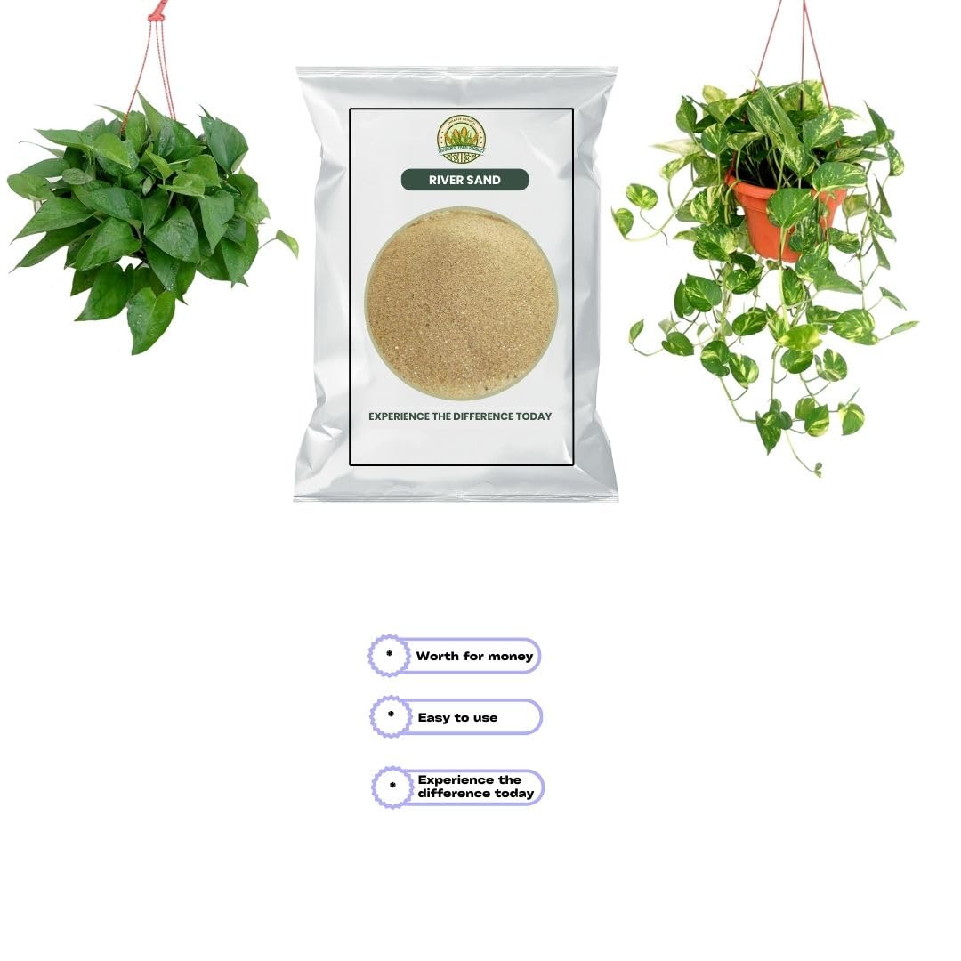 1 KG| River Sand | for Home Gardening and Aquarium | All Indoor and Outdoor Plants & Fish Tank Air Purifier Live Indoor Plant Outdoor Plant Decor Live Plant 4