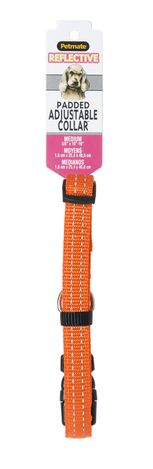 Aspen PET Products 0301954 Nylon Pet Collar, 3/8 by 10 to 16-Inch, Orange