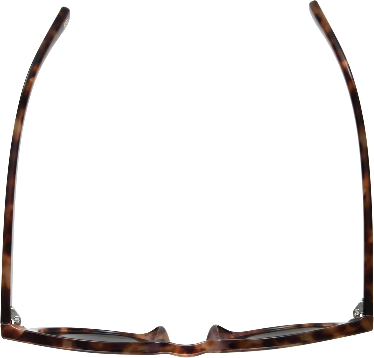 French Connection womens Etta Round Sunglasses