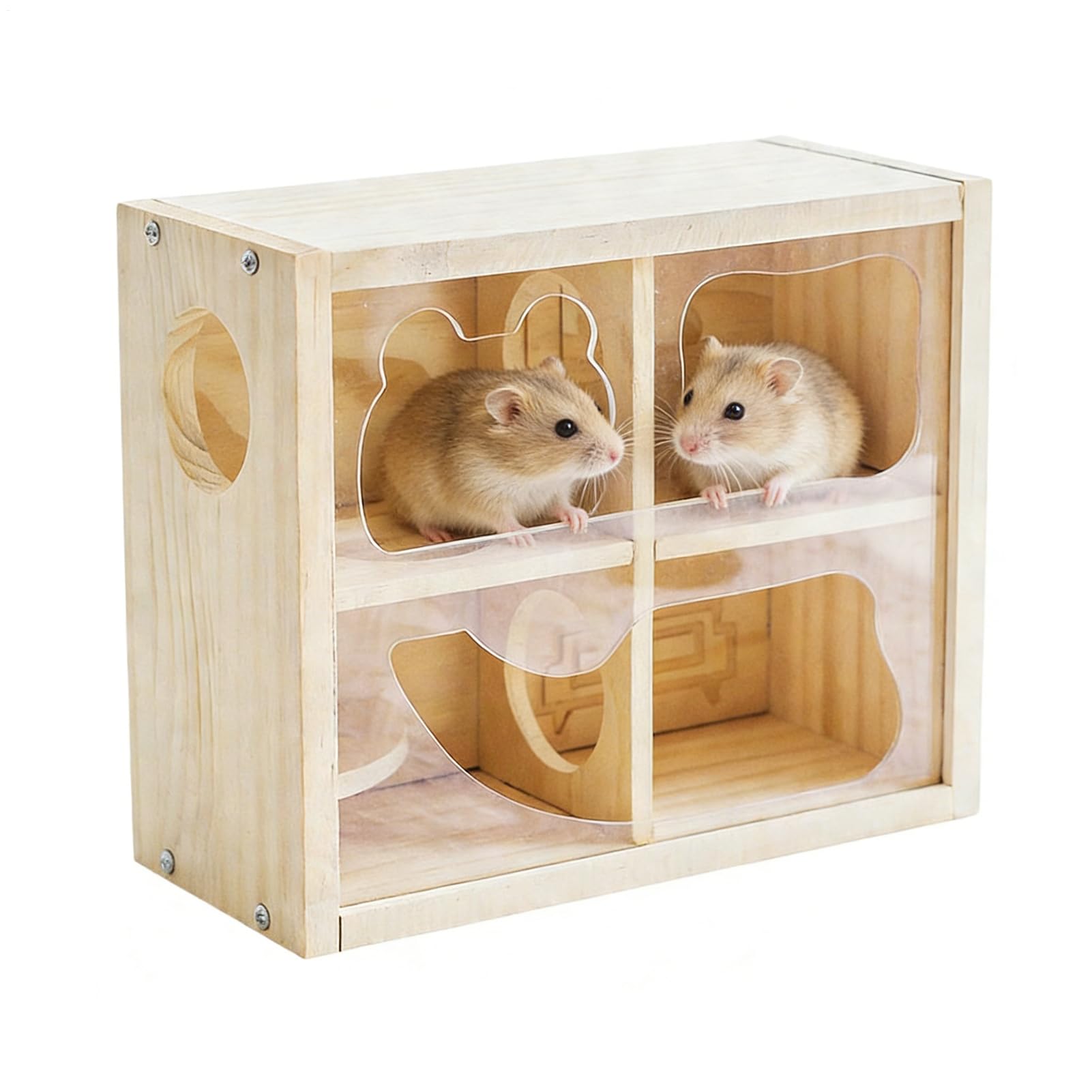 Habitat de souris pour enclos avec labyrinthe pour petits animaux de compagnie