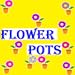 Flower Pots