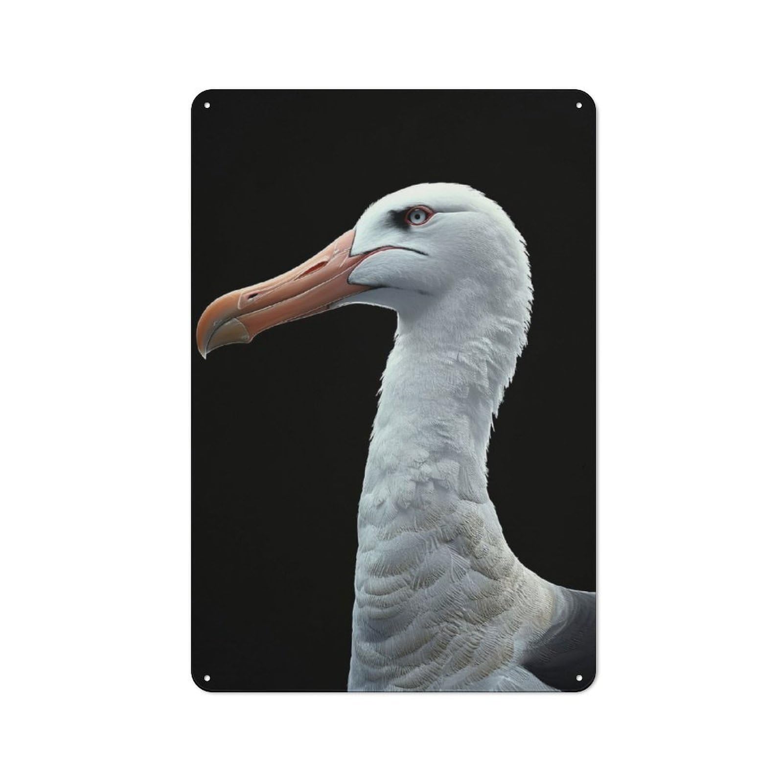 Junmoney Albatross Tin Wall Plaque 30X20cm With For Hobby Room Or Studio, For Updating Hobby Room And Studio After Moving