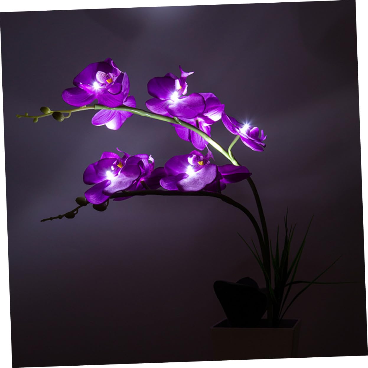 ULTECHNOVO LED Orchideen Tischlampe mit 9 LEDs Faltbare Zweige aus Kunststoff und Seidenstoff Dekoratives Licht für Wohnzimmer und Shops