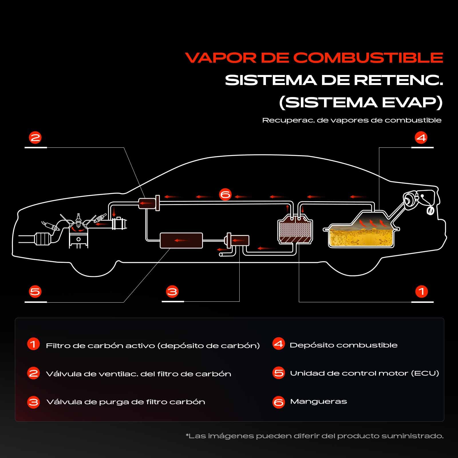Frankberg Válvula de Ventilación Válvula de Ventilación del depósito 2 Polos Gasolina Compatible con Golf VI 5K1 Passa.t 362 A4 Avant 8K5 Q3 8UB 8UG Octav.i.a II Combi 1Z5 A4 8K2 Replace# 06H906517B