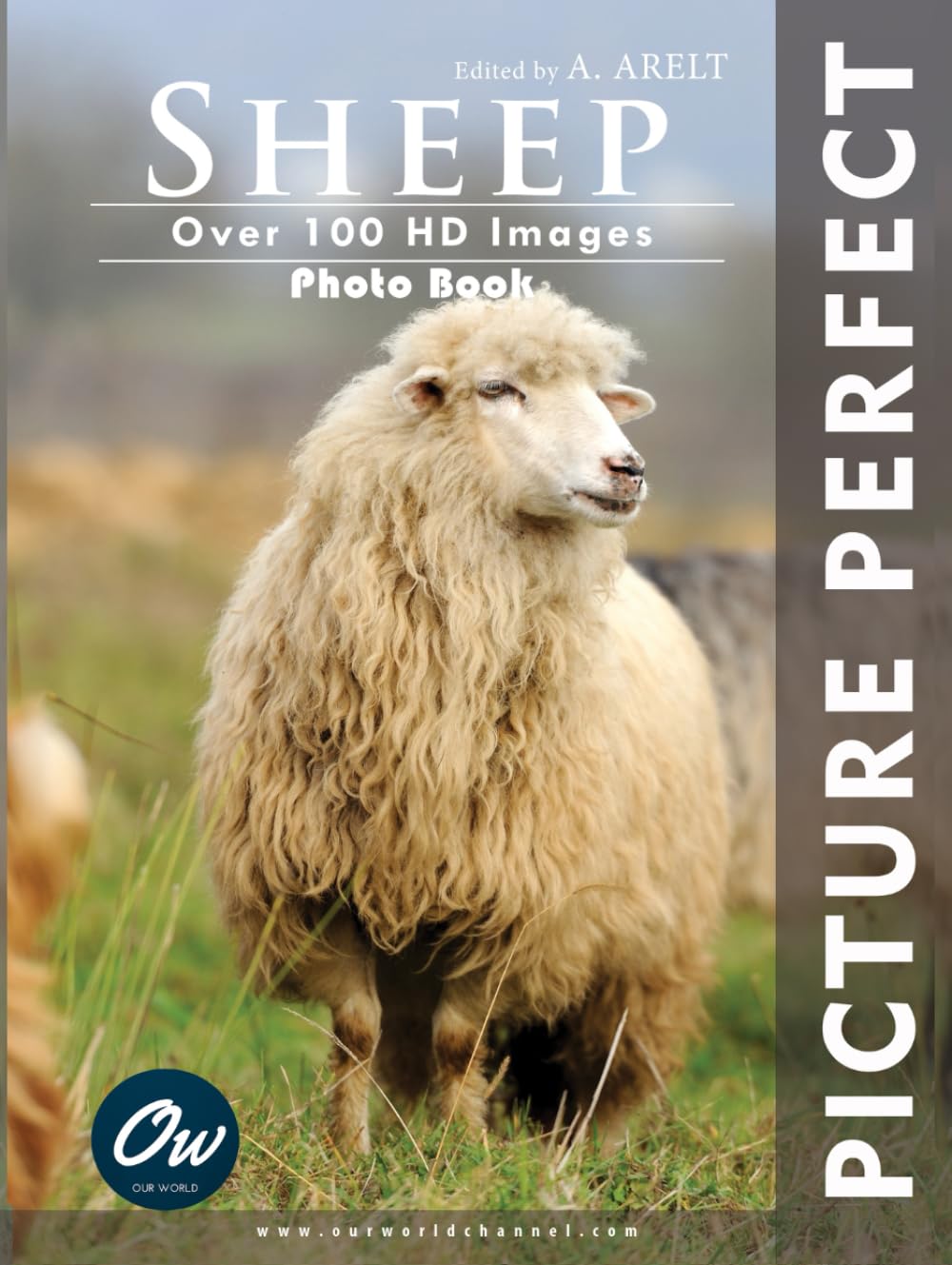 Sheep: Picture Perfect Photo Book