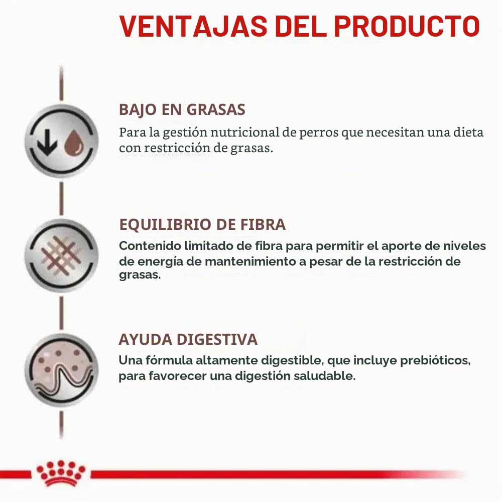 Royal Canin Veterinary Gastrointestinal Low Fat | 6 kg | Pienso Completo para Perros Adultos | Alimento seco para Ayuda digestiva | Bajo Contenido en Grasas