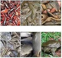 Vista 3 de Piscina sobre el suelo de lona gruesa con soporte para balcón al aire libre, piscina de seguridad, piscina para niños, fácil de instalar