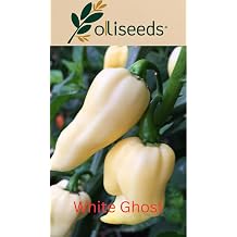 White Ghost Bhut Jolokia Chilli Seeds   Rare Super Hot Pepper   Capsicum Chinense   Easy to Grow   oliseeds   5 Seeds