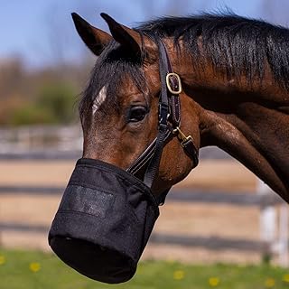 Dura-Tech Heavy Duty Feed Bag| Enhances Horse Feeding Experience | Prevents Feed Competition | Adjustable Crown Strap | Easy Breath Mesh Panel | Durable 600D Poly Fabric