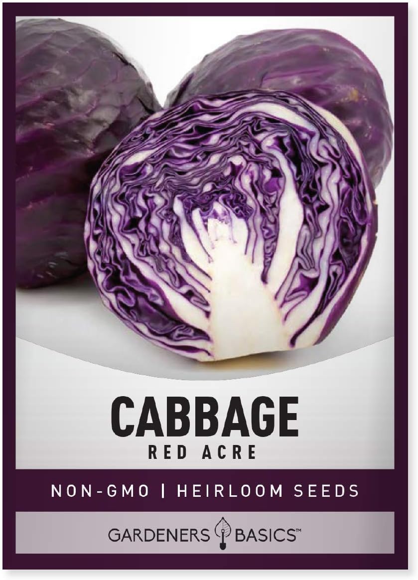 Gardeners Basics, Cabbage Seeds for Planting - Red Acre Heirloom, Non-GMO Vegetable Variety- 1 Gram Seeds Great for Summer, Spring, Fall and Winter Gardens