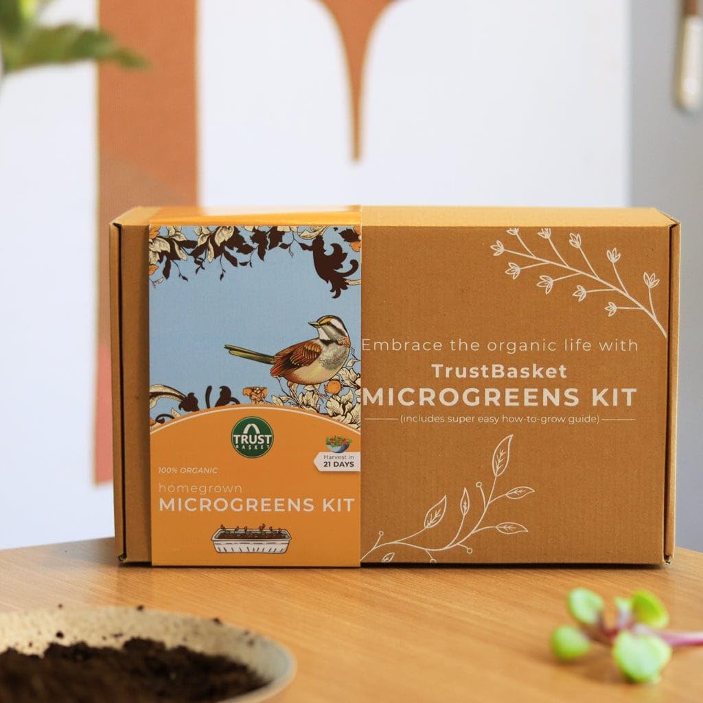 Trustbasket Microgreens Kit for Kids - Grow Your Own! -7