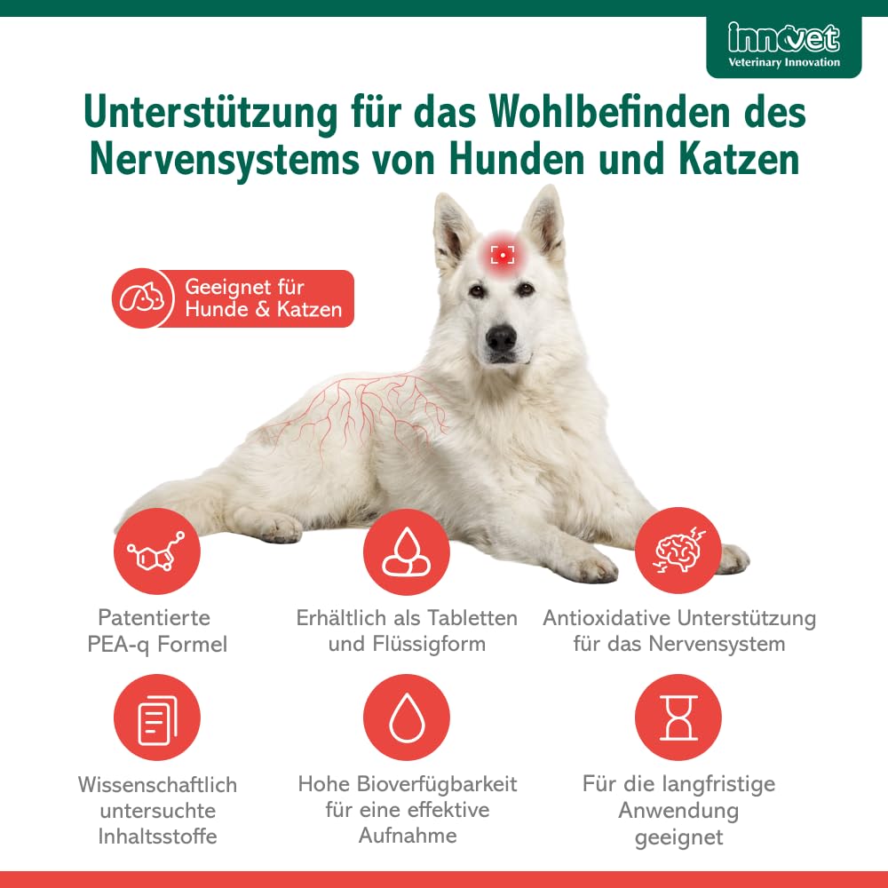 Innovet Alevica PEA-q für Hunde und Katzen, 100 ml Flüssigkeit für das Gleichgewicht des Nervensystems, PEA Hund, Flüssigkeit mit Spritze, Unterstützt neurologische Funktion, Komfort und Wohlbefinden