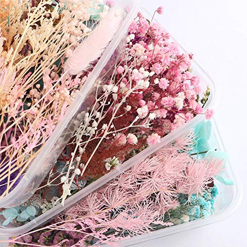 Flores secas prensadas para resina epoxi 1 caja miniatura 2