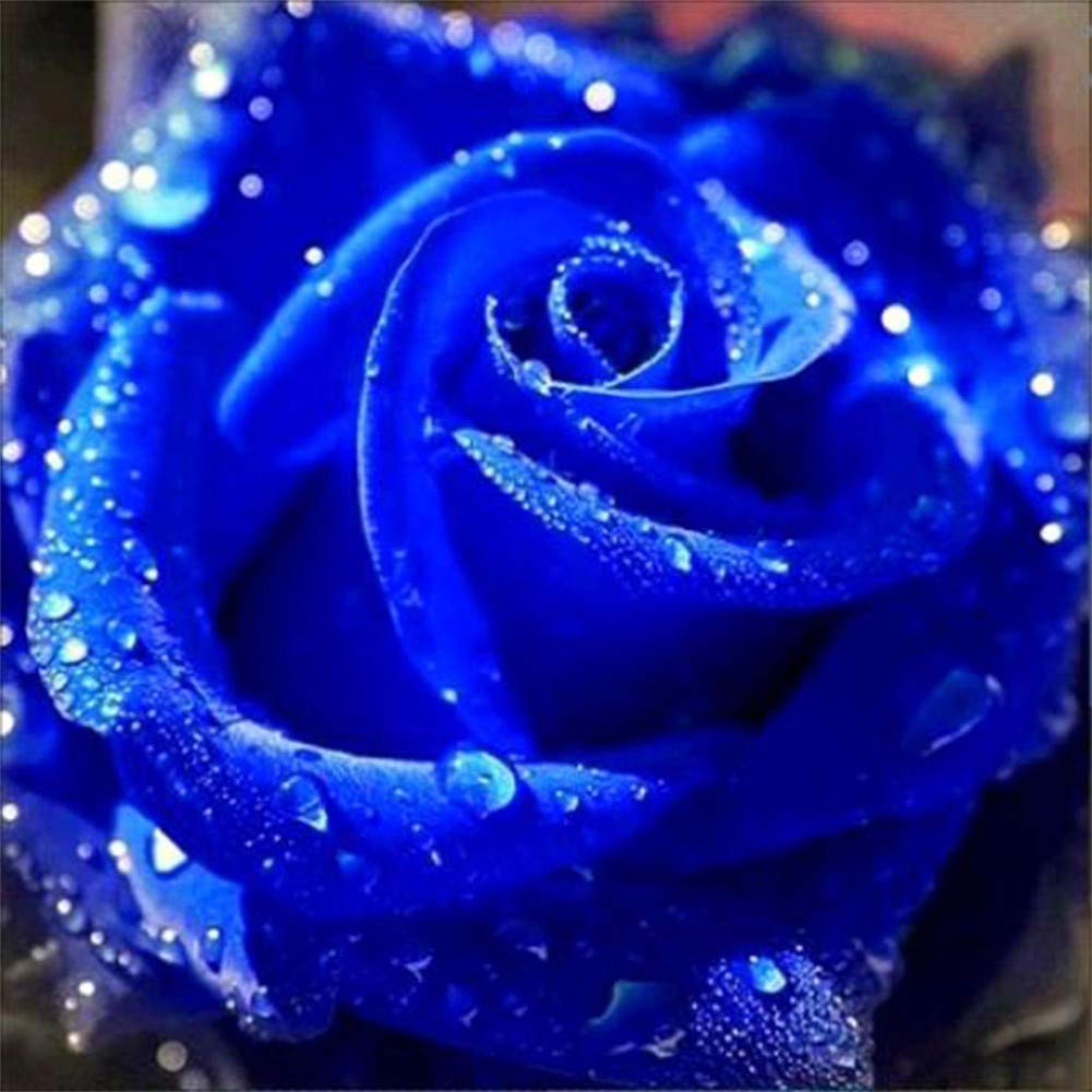 Kit Diamond Painting 5D Fai Da Te 30x40cm - Abeuty, Quadro Con Strass A Forma Di Fiore Mandala Blu, Tela HD E Trapano Quadrato - 4