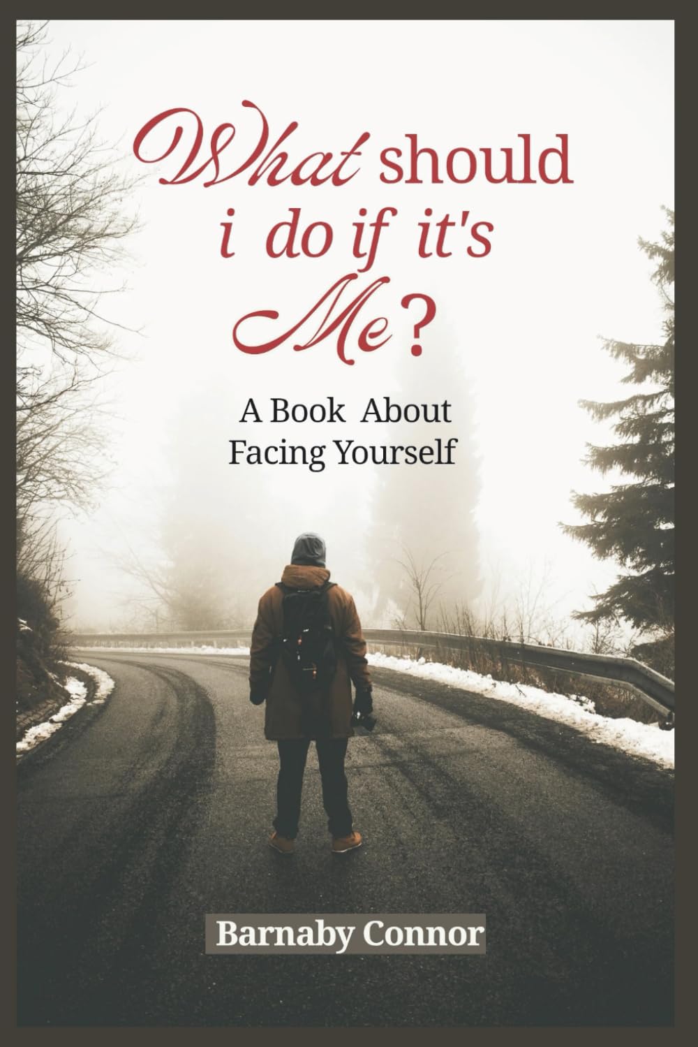 What Should I Do If It's Me?: A Book About Facing Yourself