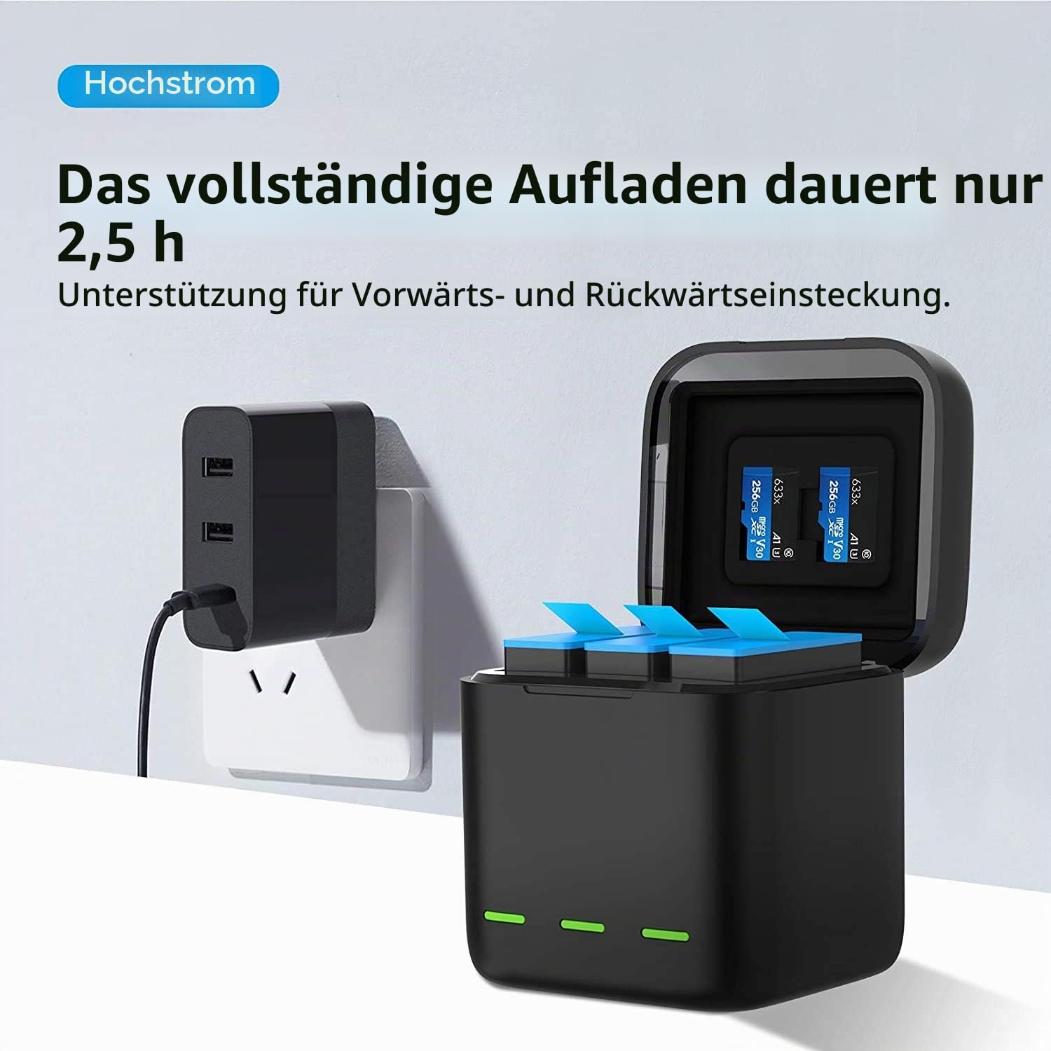 REYGEAK Hero 12 /Hero 11/10/9 Akku, Dreifach-Ladegerät und Speicherbox mit 3 Kanälen(Ladegerät + 2 × Batterie)