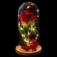 Rosa Vermelha Encantada Cúpula Acrílico LED 21cm Base Madeira Flor Artificial Presente Rosa Eterna A Bela e a Fera Dia dos Namorados Aniversário Decoração Romântica Premium (21 cm)