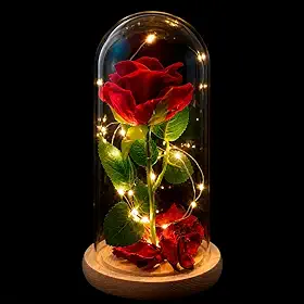 Rosa Vermelha Encantada Cúpula Acrílico LED 21cm Base Madeira Flor Artificial Presente Rosa Eterna A Bela e a Fera Dia dos Namorados Aniversário Decoração Romântica Premium (21 cm)